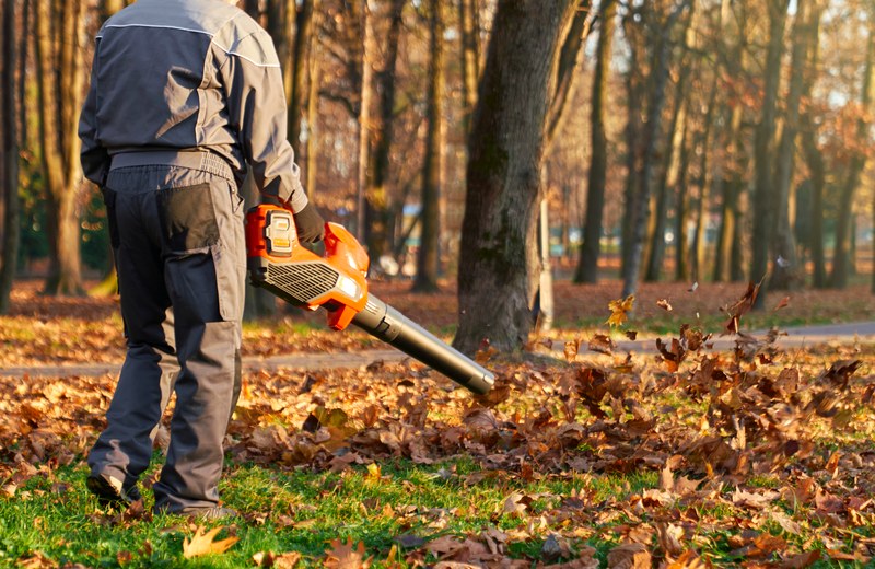 Fall cleanup with leaf blower