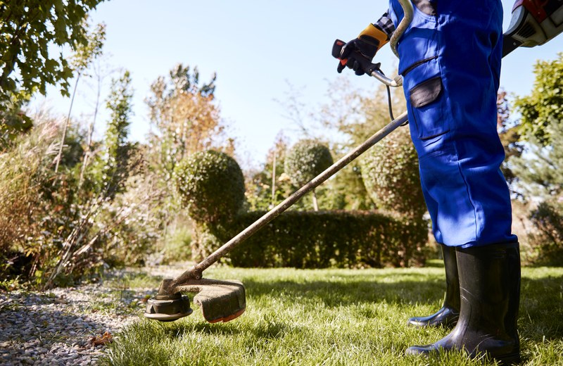 Professional lawn mowing service