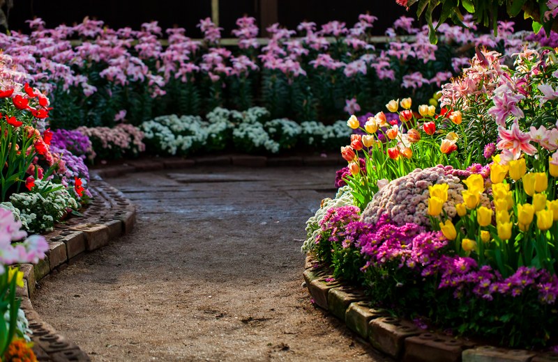 Beautiful flower garden planting